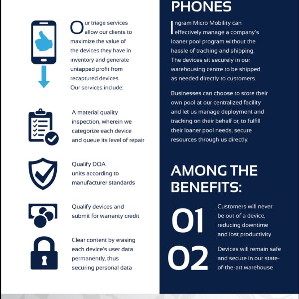 Art Direction | Print | Layout